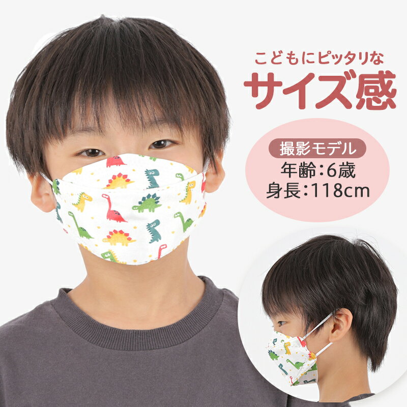 マスク 子供 こども 不織布 立体【送料無料】 韓国 で流行中の マスク と同形状 50枚入り 小さめ 大きめ カラーマスク 女性 ライラックアッシュ 柄 立体 平ゴム 使い捨て おしゃれ 韓国ファッション【10枚ずつ個包装】 父の日 プレゼント