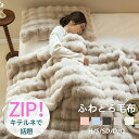 【10倍ポイント+5%OFFクーポン配布中】ふわとろ毛布 モコモコブランケット 極上ふわとろ 毛布ブランケット 全季節 シングル セミダブル ダブル ハーフ 厚手 冷房対策 ふわもこ ひざ掛け 掛け毛布 ソファ毛布 厚手 おしゃれ 洗える 洗濯可 秋冬 心地よい 特典付き