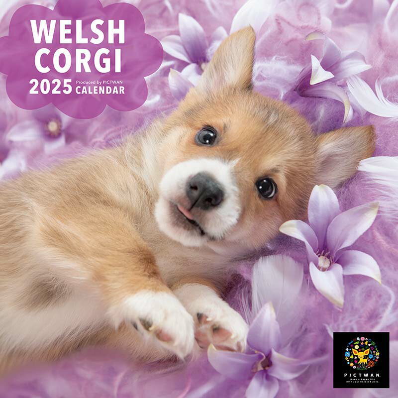 ウェルシュ・コーギー スモール カレンダー 【S版】 PICTWAN 2025年SMALL CALENDER ピクトワン カレンダー コーギー グッズ 犬 仔犬 動物 いぬ アニマル 壁掛け インターズーのサムネイル