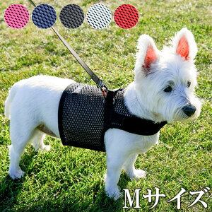 ハーネス 犬 小型犬 中型犬 可愛い おしゃれ Sleepypod Martingale Dog Harness スリーピーポッド マーチンゲールドッグハーネスMサイズ 目安体重〜20kg