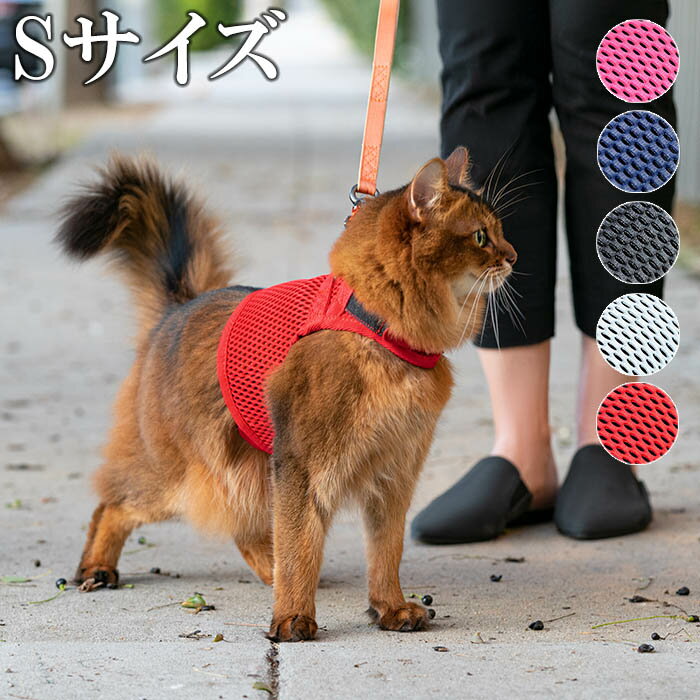 ハーネス 猫 可愛い おしゃれ Sleepypod Martingale Cat Harness スリーピーポッド マーチンゲールキャットハーネス ネコ 胴輪 首輪Sサイズ 目安体重〜5kg 1