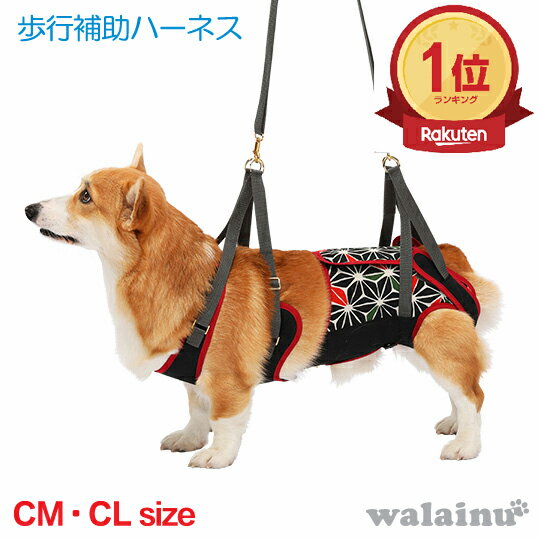  ϡͥ  ϡͥ ƹ LaLaWalk 饦 淿 KABUKI CM/CL   Ϸ  ...