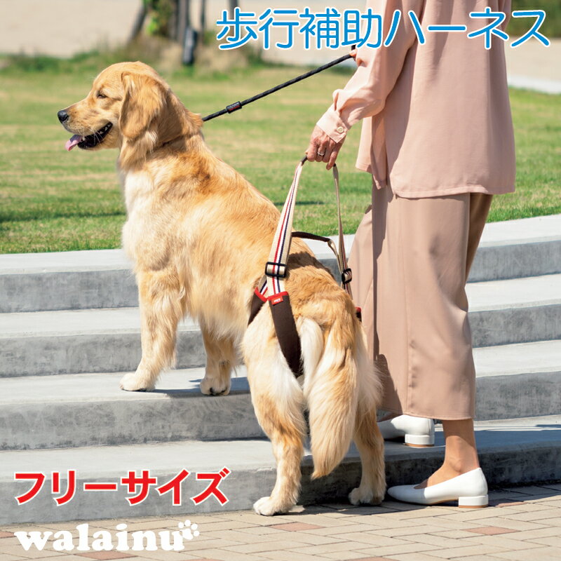 ڿȯ۸ϡͥϡͥƹLaLaWalkSTEP饦եե(桢緿)ʡ̥ۤϷʻ緿ɥåϡͥϡͥ꡼ƹظѲ
