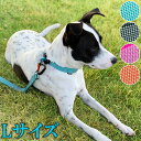 p ^ ^  Sleepypod Locking Martingale Collar X[s[|bh bLO}[`Q[J[LTCY 2.5cm 50`71cm