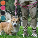 [h  ^ ^ ^   Sleepypod Power Leash X[s[|bh p[[V LTCY 183cm 2.5cm