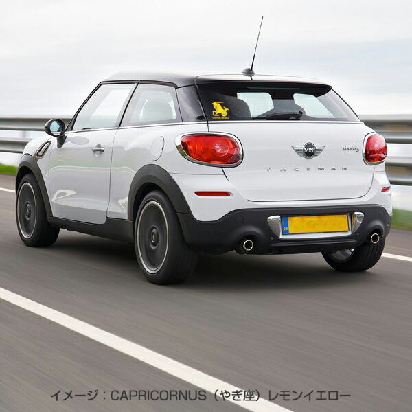 星座 グッズ シール 蟹座 ステッカー （かに座・cancer）カー シール 自動車 車 星 カッティング シート イラスト デカール ステッカー 車 バイク スーツケース