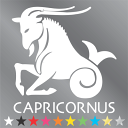 星座 グッズ シール 山羊座 ステッカー （やぎ座・capricornus）カー シール 自動車 車 星 カッティング シート イラスト デカール ステッカー 車 バイク スーツケース