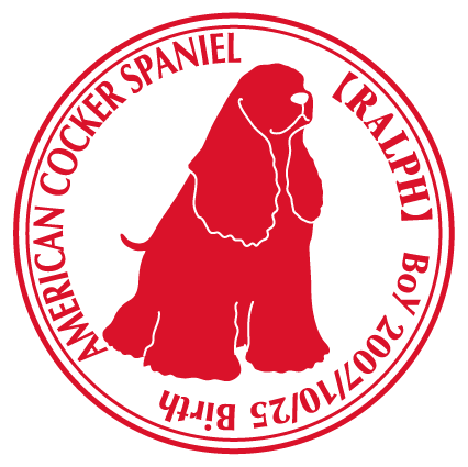 ꥫ󥳥åѥ˥뤪¤ ƥå Cѥ å ̾  ǥ 륨åȼ ư å å ...