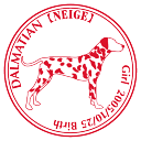 ダルメシアン柄入り ステッカー Cパターン グッズ 名前 シール デカール シルエット車 自動車 カッコイイ カッコいい オリジナル くるま car カー シー...