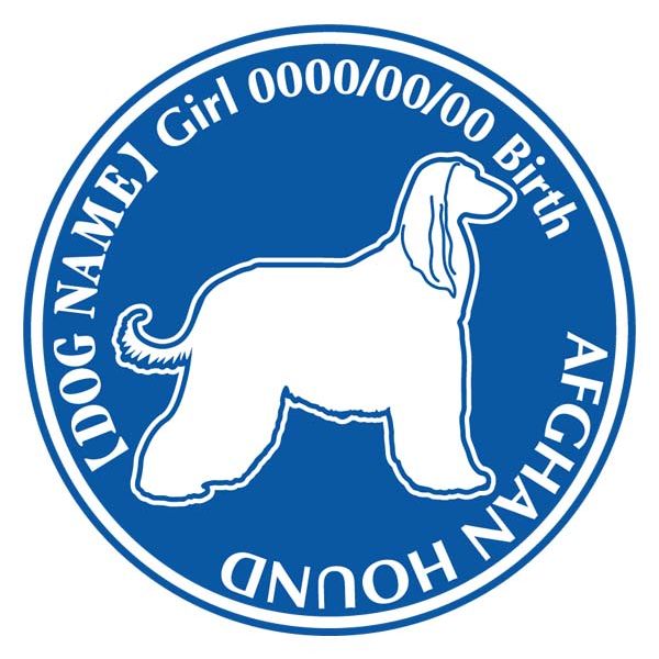 եϥ  ƥå ̾  ǥ 륨å Dѥ   ǥ    륨å  ...
