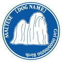 マルチーズnew 犬 ステッカー 名前 シール デカール シルエット Dパターン車 カー シール デカール 犬 いぬ イヌ シルエット 影 リア アクセサリー ...