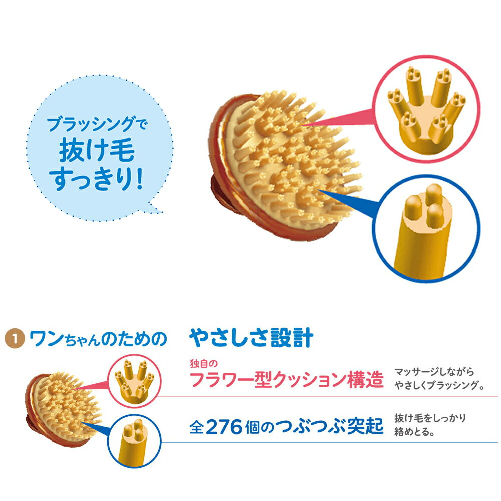 �饤���󡡥ڥåȥ��쥤���������󥱥������̥ϥԥ֥饷������