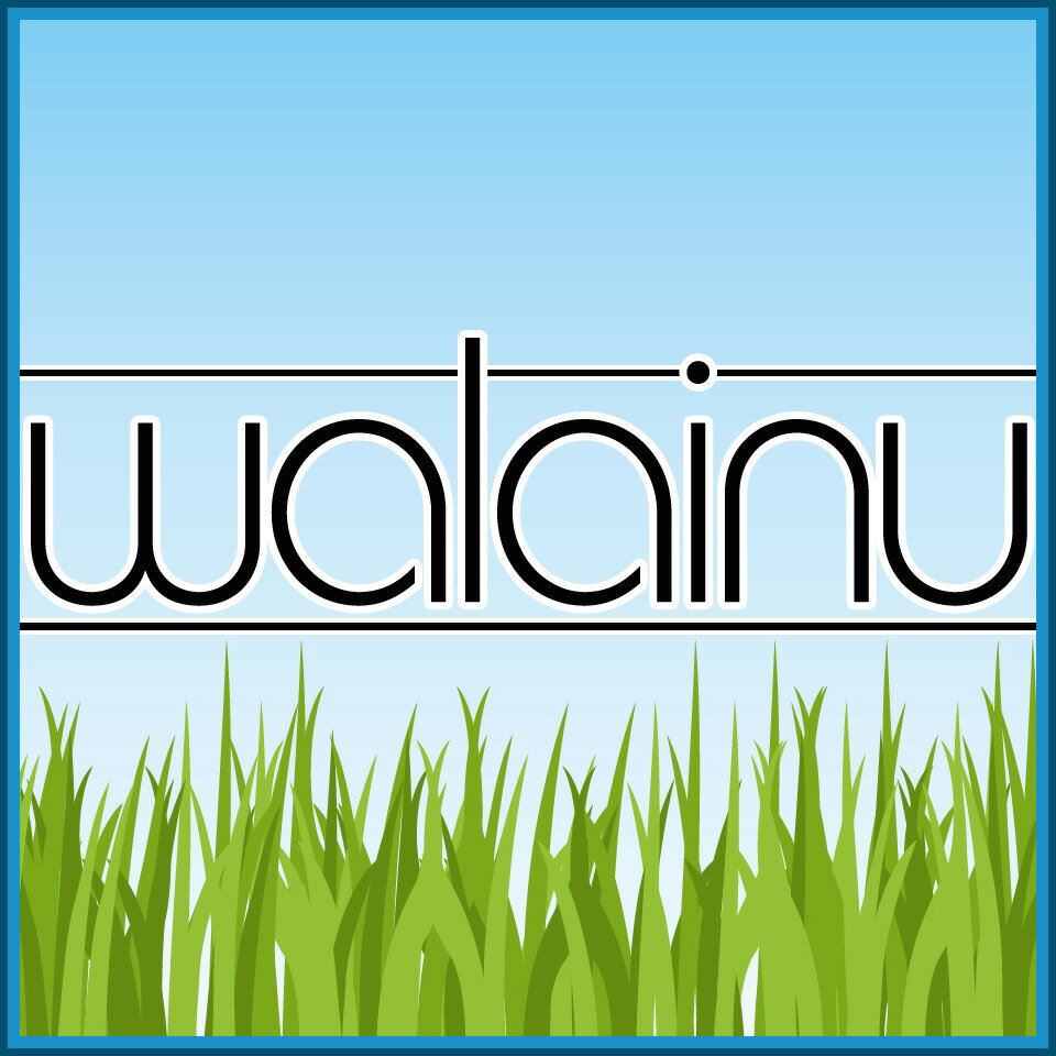 Shop icon