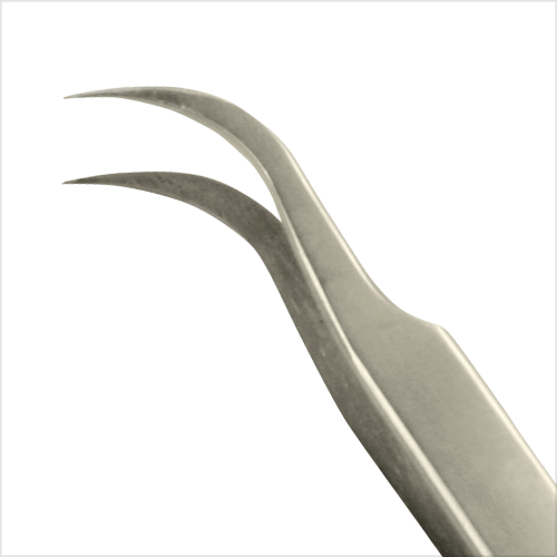 �������ƥĥ����������ԥ󥭥��ĥ���������7-SA���ڤޤĤ��������ơۡڤޤ��ӥ������ơۡڥ�����å���ۡڥͥ����