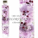 ヴァルハラ ハーバリウム 七色のハーバリウム 【ヴァイオレット】 ～ COLORS SERIES ～ 紫陽花 デイジー ペッパーベリー 内祝い 結婚祝い プリザーブドフラワー ギフト 観葉植物 楽天 インテリア雑貨 植物標本 オイル ウォーターフラワー 即納 新生活