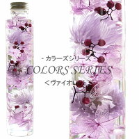 七色のハーバリウム 【ヴァイオレット】 〜 COLORS SERIES 〜 紫陽花 デイジー ペッパーベリー 【楽ギフ_内祝い 【楽ギフ_結婚祝い プリザーブドフラワー ギフト 観葉植物 楽天 インテリア雑貨 母の日 植物標本 オイル ウォーターフラワー 即納