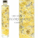 七色のハーバリウム 【イエロー】 ~ COLORS SERIES ~ 紫陽花 ミニかすみ草 フラワーコーン 内祝い 結婚祝い プリザーブドフラワー ギフト 観葉植物 楽天 インテリア雑貨 植物標本 オイル ウォーターフラワー 即納 お中元