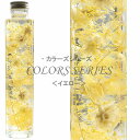 ヴァルハラ ハーバリウム 七色のハーバリウム 【イエロー】 ～ COLORS SERIES ～ 紫陽花 ミニかすみ草 フラワーコーン 内祝い 結婚祝い プリザーブドフラワー ギフト 観葉植物 楽天 インテリア雑貨 植物標本 オイル ウォーターフラワー 即納 新生活