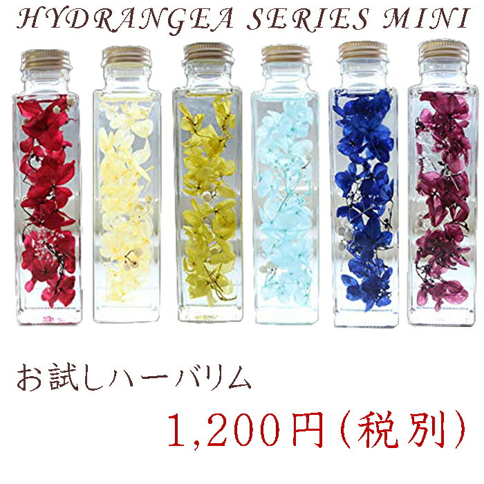 お試し ハーバリウム 選べる7色 ～ HYDRANGEA SERIES mini ～ あじさい ペッパーベリー 内祝い 結婚祝い プリザーブドフラワー ギフト 観葉植物 楽天 インテリア雑貨 植物標本 オイル ウォーターフラワー 即納 母の日