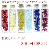 お試し ハーバリウム 選べる7色 〜 HYDRANGEA SERIES mini 〜 あじさい ペッパーベリー 【楽ギフ_内祝い 【楽ギフ_結婚祝い プリザーブドフラワー ギフト 観葉植物 楽天 インテリア雑貨 敬老の日 植物標本 オイル ウォーターフラワー 即納