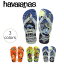 ڥϥ磻ʥ ӡ havaianas å SHOCK å Ҷ 쾦ʤˤĤͲڤб