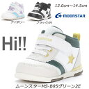 MOONSTAR MS-B95-2E xr[C C ܐ @\JbvC\[ JE^[{bNX JeL Hi X^rCU[ n[hVN [X^[  ԂV[YԂC Mtg ~bhJbg Lbg O[ AC{[ ubN/zCg  