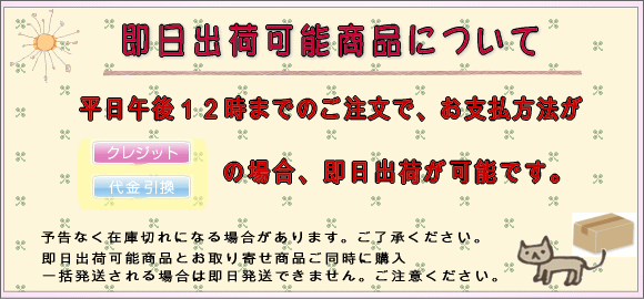 上品に美しく飾る フリル付カフェカーテン ロッドポケット[袋縫い]タイプ 幅150cm×50cm丈/75cm丈【RH401CFT】かわいい おしゃれ POP つっぱり棒 目隠し 小窓 雑貨 日本製] CSZ