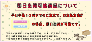 [10％OFFクーポン×5月1日当店限定]カフェカーテン トルコ刺繍 デザインレース カフェ カーテン/▼幅150×50cm丈 /[かわいい おしゃれ つっぱり棒 トイレ キッチン ランドリールームの小窓に 日本製] CSZ