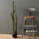 11％OFF！4/1限定クーポン フェイクグリーン リアル 観葉植物 人工 ヴィンテージ カッコいい 造花 おしゃれ 柱サボテン CSZ