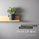 フェイクグリーン リアル人工観葉植物 フィットニア ポット CSZ