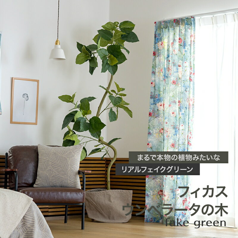 [���ʥݥ����10�ܡ�15��20����4H����]�ե��������꡼�� �ꥢ�� �ꥢ��ե��������꡼�� ���տ�ʪ �͹� ¤�� ������� �緿 ȭ�� �ե�����������٥顼...