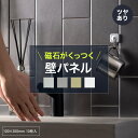 11％OFF！4/1限定クーポン 磁石がくっつく 壁パネル マグネットシート キッチンパネル ウォールパネル マグネットボード 洗面所 キッチン マグネット収納 洗面所 サブウェイタイル 壁材 diy ステンレスタイル ステンレスパネル SNiON シニオン 10cm×20cm 10枚入り CSZ