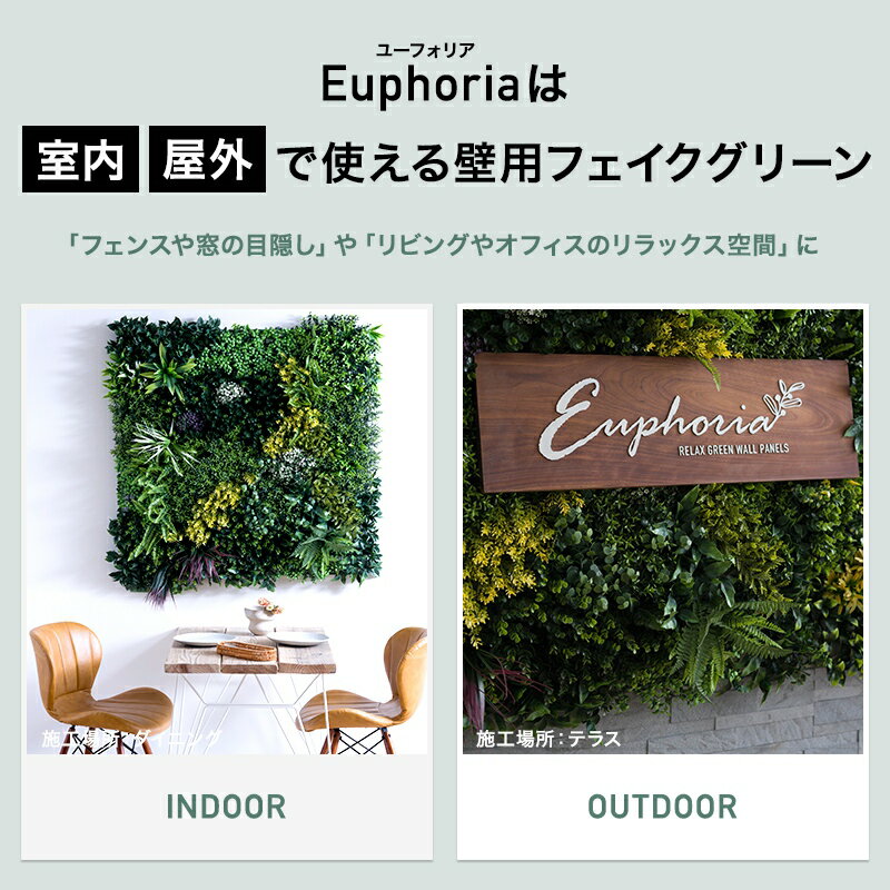 �ե��������꡼�� ���� �������륰�꡼�� ���꡼�󥦥����� ���� ������� Euphoria �桼�ե��ꥢ 50��50cm��4�祻�å� C-F-3