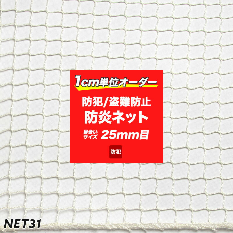 [25日限定！10％OFFクーポン×P10倍 20時〜4H限定]ネット 防炎 防犯ネット 盗難防止ネ