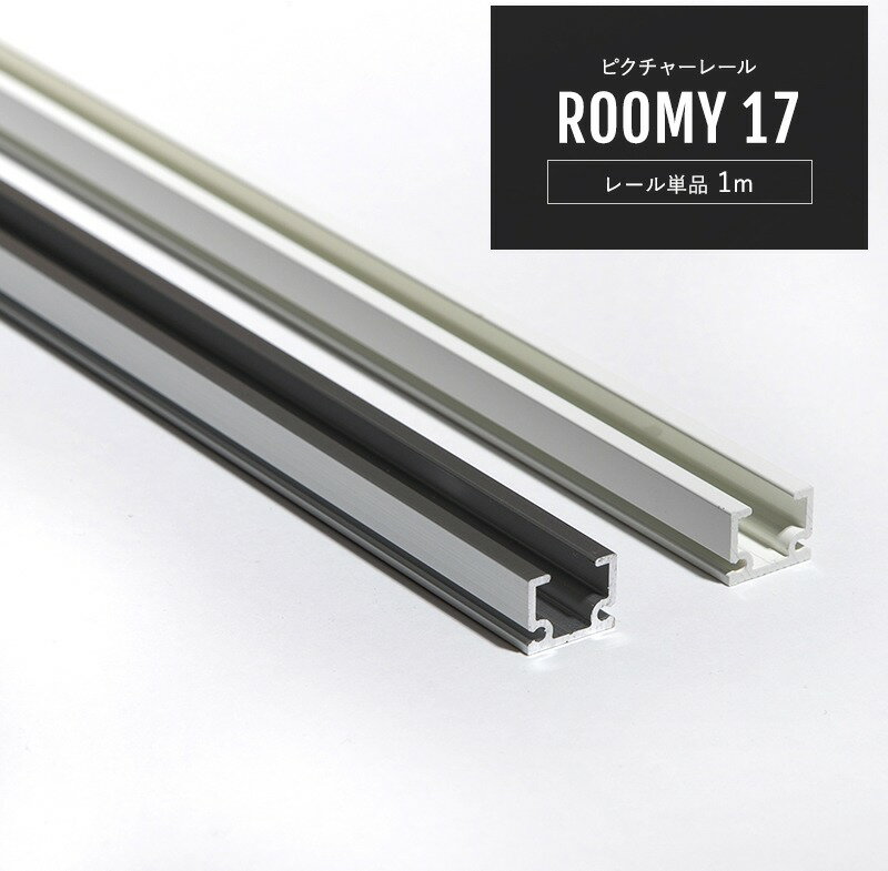 [P10 4204+2000OFFݥ]ԥ㡼졼 졼ñ 롼ߡ17 1m å ŷդ դ ̿ ƥꥢ Ÿ ѥͥ  å Ǽ  Ѵ ع   ǥץ쥤  JQ