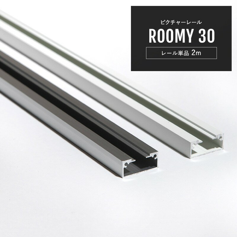 [全品ポイント10倍！25日20時〜4H限定]ピクチャーレール レール単品 ルーミー30 〜2m カット料込 天井..