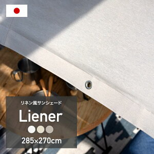 󥷥  285߾270cm 褱  ͥ ̵ ١ ٥   ۥ磻 졼 ץ   ܱ  Liener ꡼ͥ CSZ