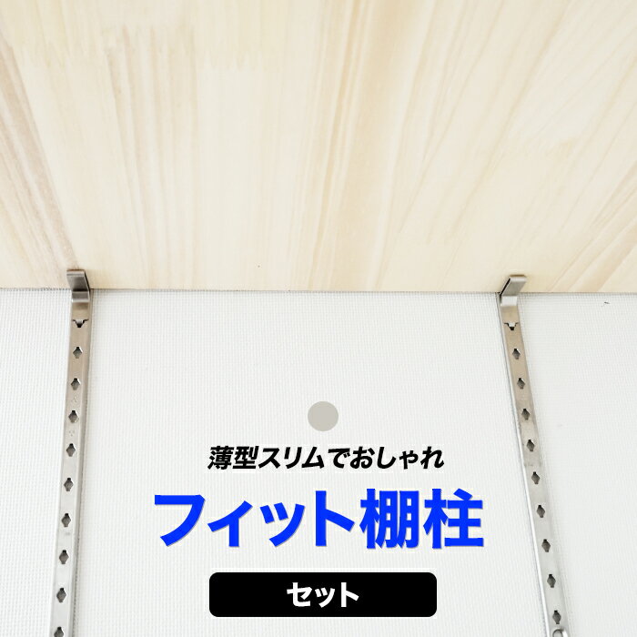 全品P10倍！20日20時～4H限定 フィット棚柱セット 棚受け金具 支柱レール ウォールシェル シルバー diy クローゼット ガチャレール ガチャ柱 可動棚 棚 ダボレール 棚受け 壁面収納