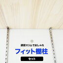 全品P10倍！5日20時～4H限定 フィット棚柱セット 棚受け金具 支柱レール ウォールシェル シルバー diy クローゼット ガチャレール ガチャ柱 可動棚 棚 ダボレール 棚受け 壁面収納