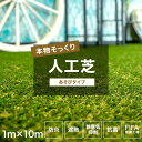 全品ポイント10倍！25日20時～4H限定 人工芝 ロール あそびタイプ 1m×10m 防炎 遮熱性 抗菌 芝生マット 人工芝生 人工芝マット 芝生 ロールタイプ 庭 ベランダ バルコニー 雑草対策 いつでもグリーン いつでもGreen JQ メーカー直送品