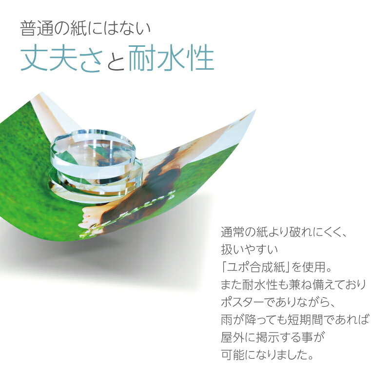 【 大判出力サービス ポスター 】 屋内用 イ...の紹介画像3