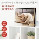 【 ペット ファブリックパネル 大判 】 オーダーメイド フォトパネル キャンバス アートパネル オリジナル 犬 猫 鳥 ウサギ ハムスター フェレット 動物 フォトフレーム 写真 名入れ おしゃれ