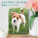 オーダーメイド フォトフレーム 【 ペット 】 アクリルフレーム オリジナル 犬 猫 鳥 ウサギ ハムスター フェレット 動物 メモリアル 写真 名入れ おしゃれ