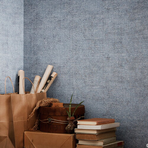 Rakuten - サンゲツ/生のりつき壁紙・クロス FE76066【10M巻】【送料込み価格】