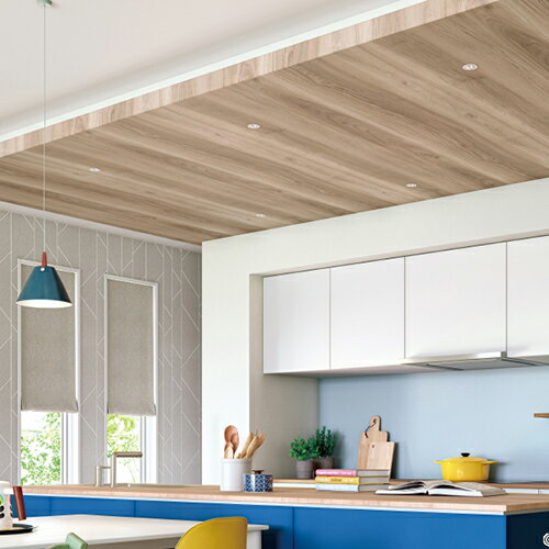 ���󥲥�/���Τ�Ĥ��ɻ桦������ FE76290��10M���ۡ��������߲��ʡ�