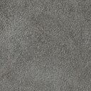 サンゲツ/生のりつき壁紙・クロス FE76411【10M巻】【送料込み価格】