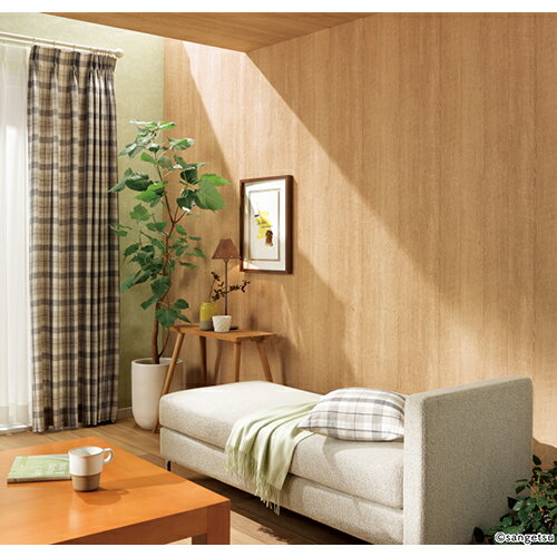 ���󥲥�/���Τ�Ĥ��ɻ桦������ FE76583��10M���ۡ��������߲��ʡ�