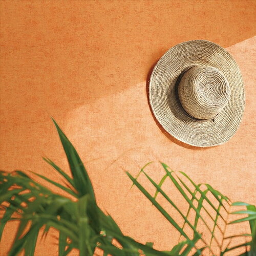 リリカラ/生のりつき壁紙・クロス LL7005【10M巻】【送料込み価格】