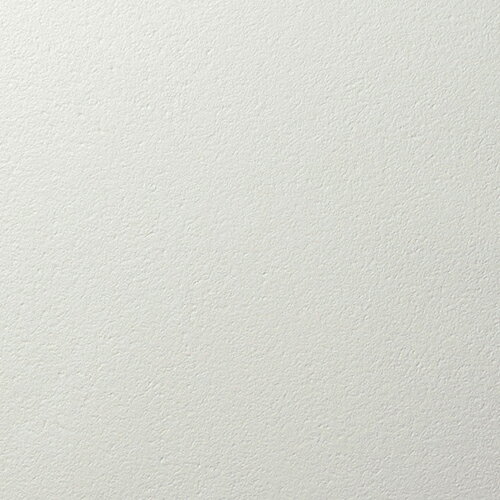 ルノン/生のりつき壁紙・クロス RF8484【10M巻】【送料込み価格】