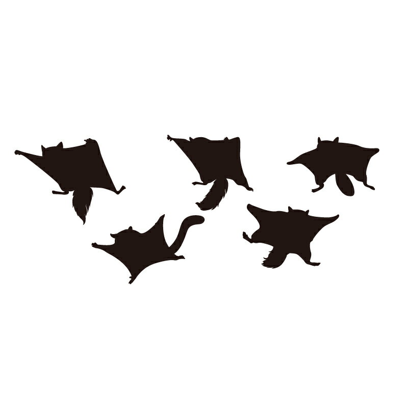 ウォールステッカー ムササビ 【ws-162】 【100mm×200mm】 【1枚】 【送料無料】 【ネコポス】